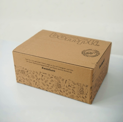 Tear Strip Zipper Carton Box , Custom Corrugated Shipping Box For Clothes
